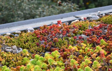 the cost of Menagissey green roof installation