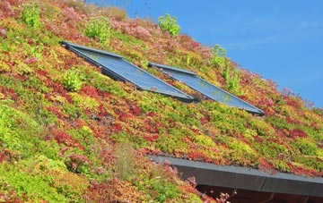 Menagissey living roof systems